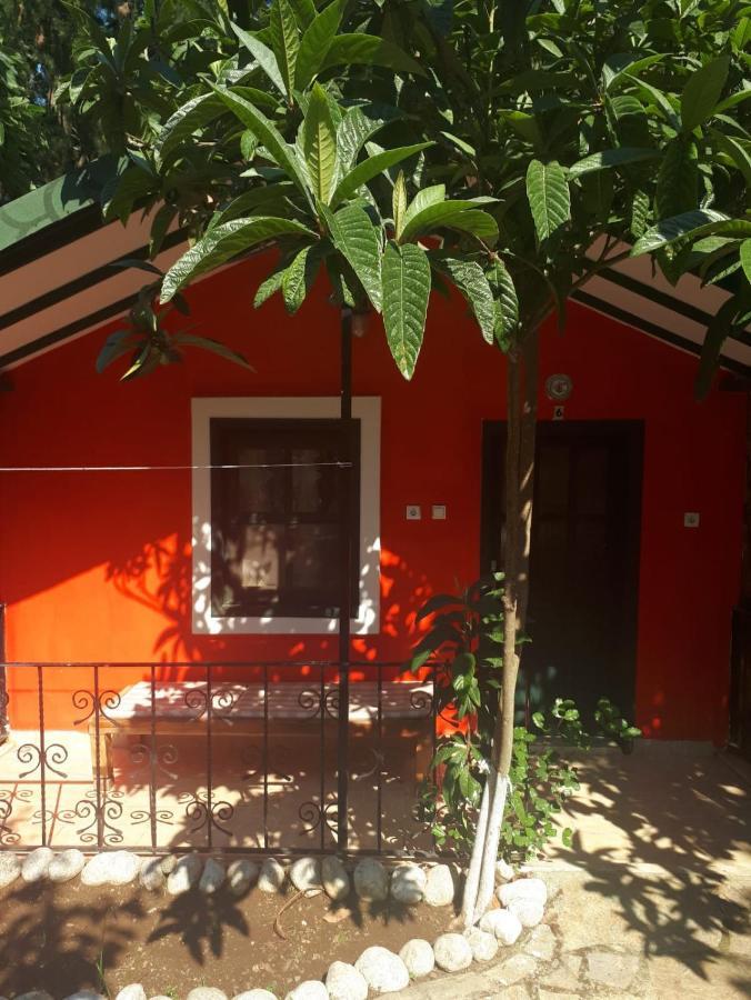 Hotel Likya Saklibahce Kemer  Exterior foto