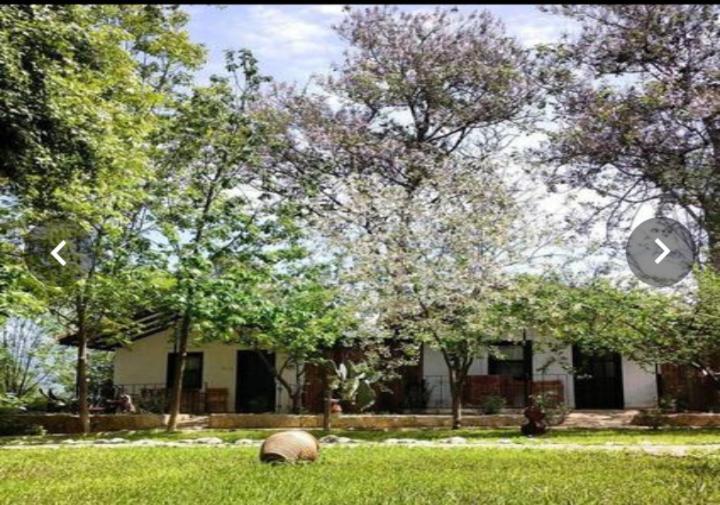 Hotel Likya Saklibahce Kemer  Exterior foto